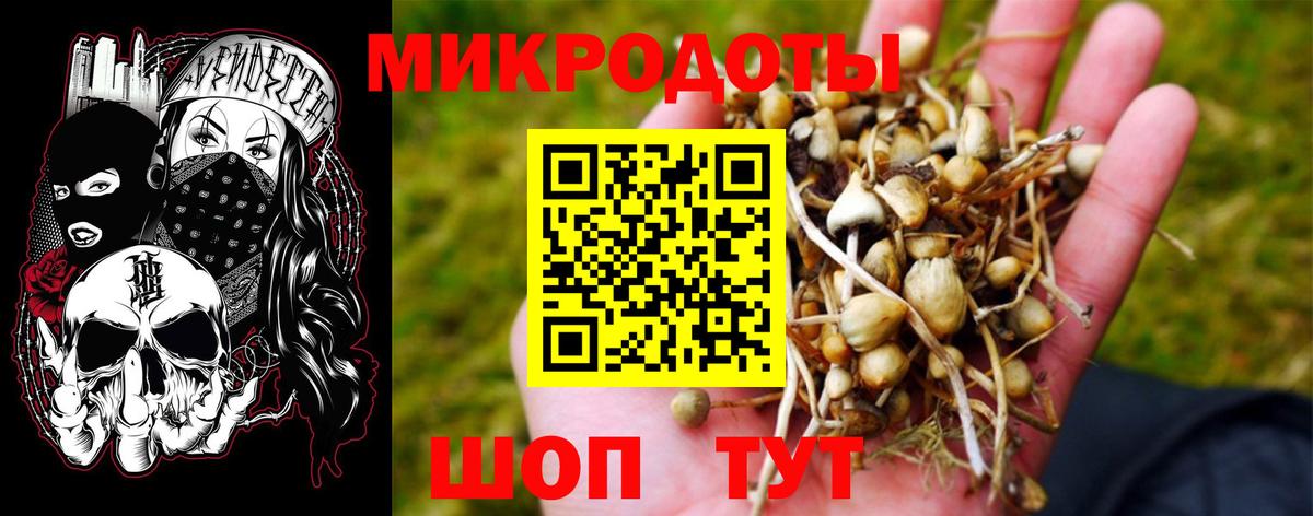 Галлюциногенные грибы прущие грибы  Вход с VPN  Рязань 