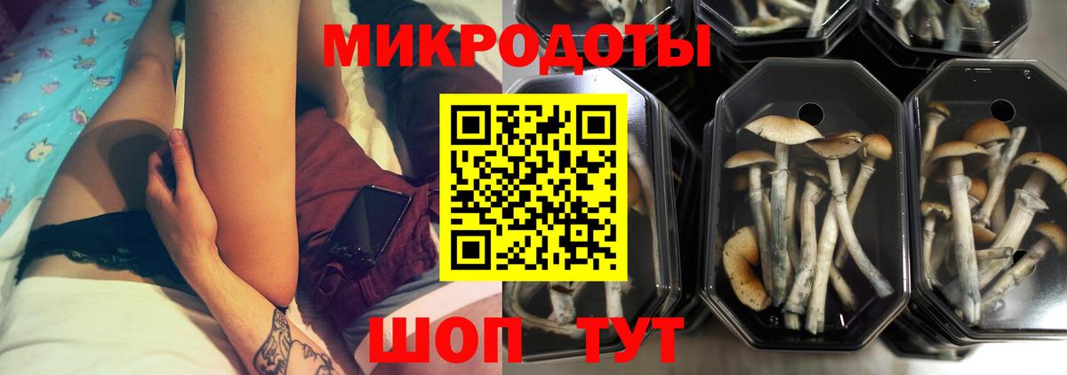 Галлюциногенные грибы прущие грибы Рязань